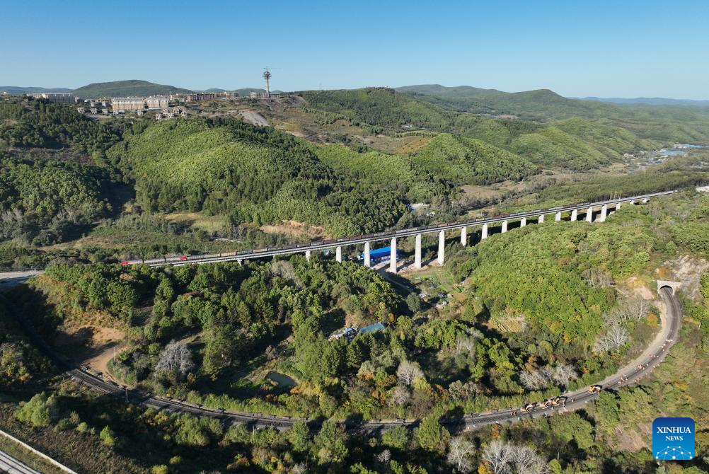 Upgrade of railway linking Suifenhe, China-Russia border completed