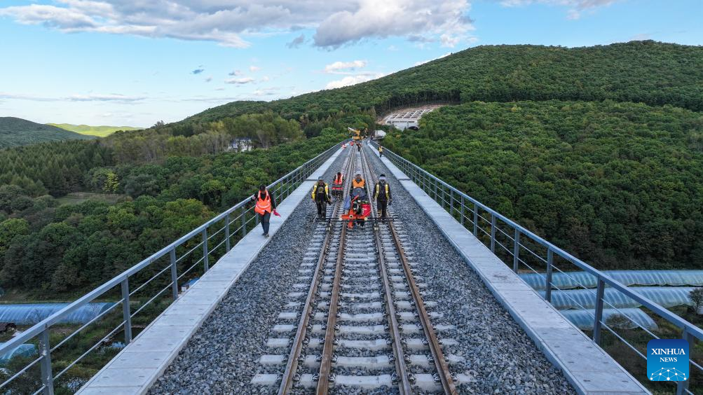 Upgrade of railway linking Suifenhe, China-Russia border completed