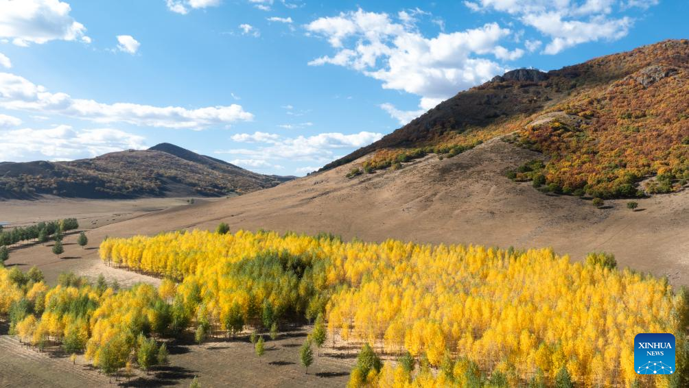 Autumn scenery in Inner Mongolia, N China