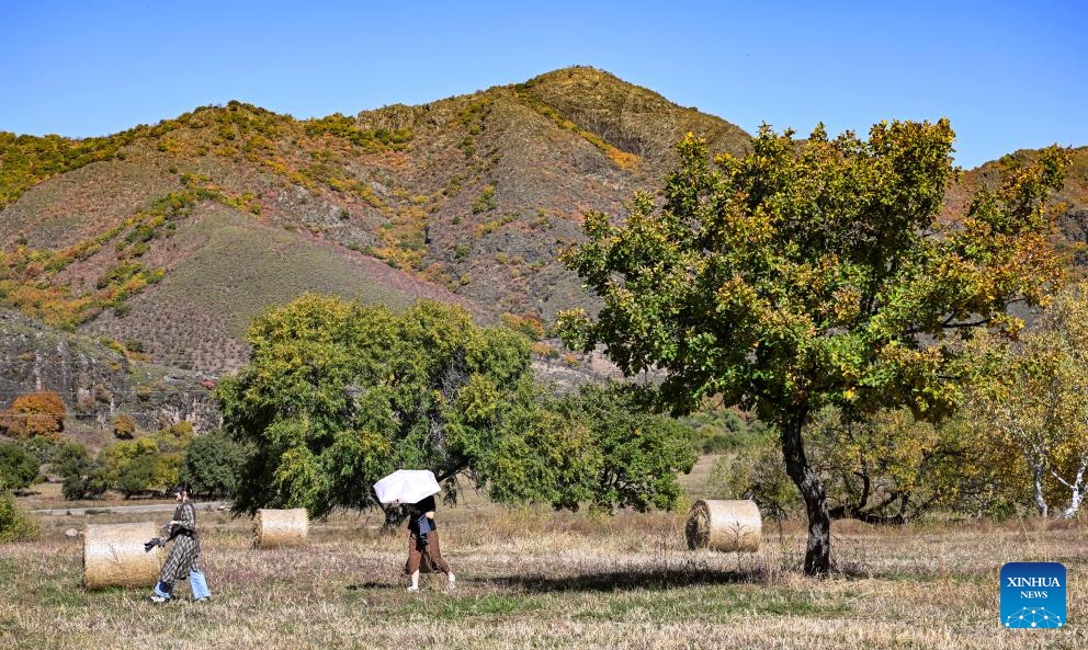 Autumn scenery in Inner Mongolia, N China