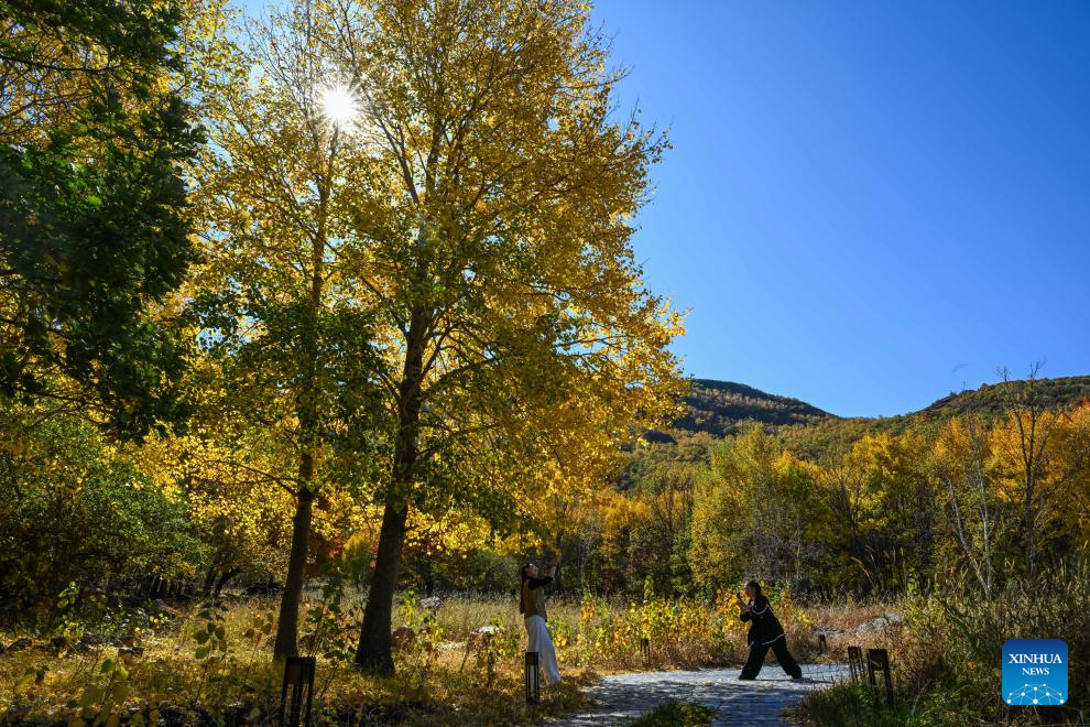 Autumn scenery in Inner Mongolia, N China