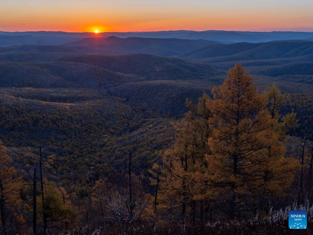 Autumn scenery in Inner Mongolia, N China