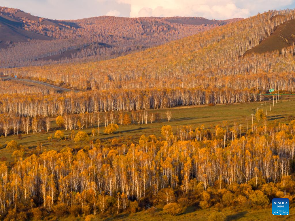 Autumn scenery in Inner Mongolia, N China