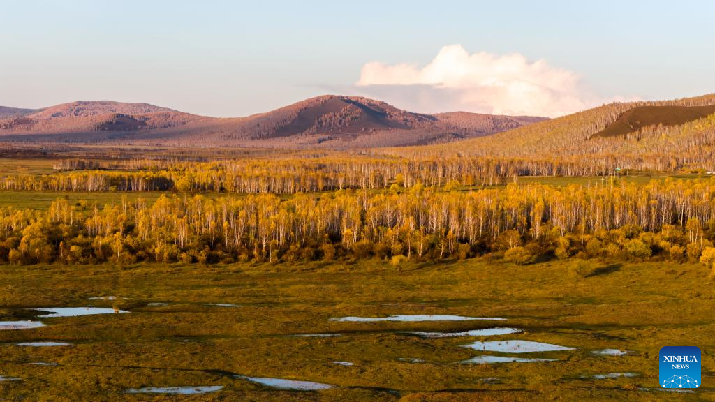 Autumn scenery in Inner Mongolia, N China