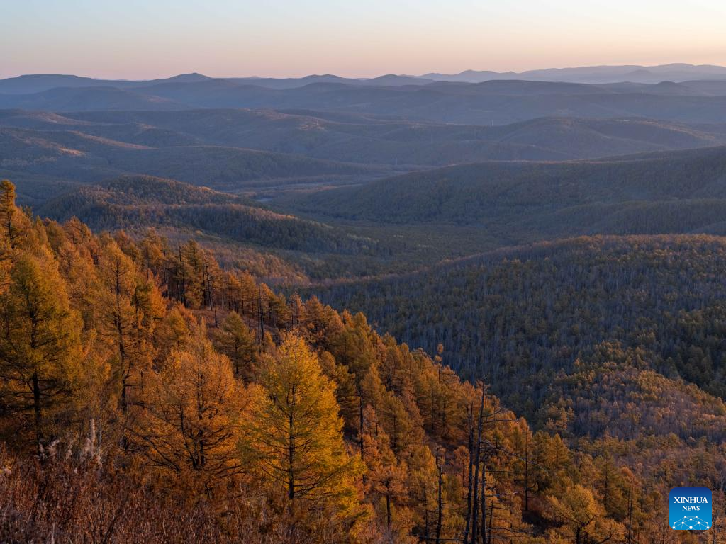 Autumn scenery in Inner Mongolia, N China