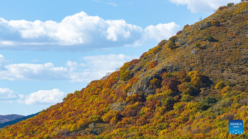 Autumn scenery in Inner Mongolia, N China