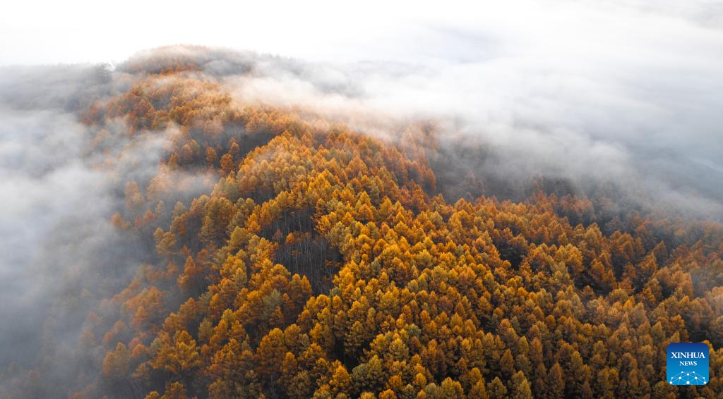 Stunning autumn scenery of Inner Mongolia, N China