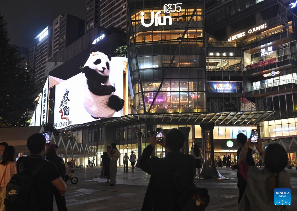 Glasses-free 3D panda becomes iconic local attraction in Chengdu, SW China