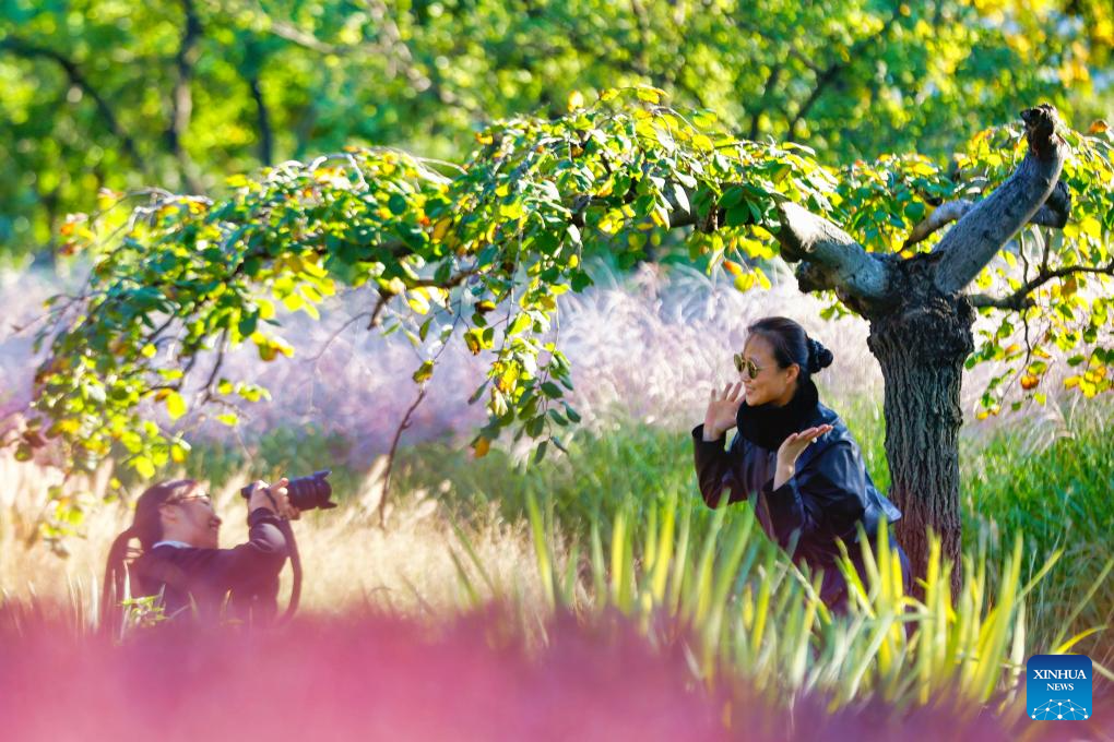 Golden autumn days draw people outdoors across China
