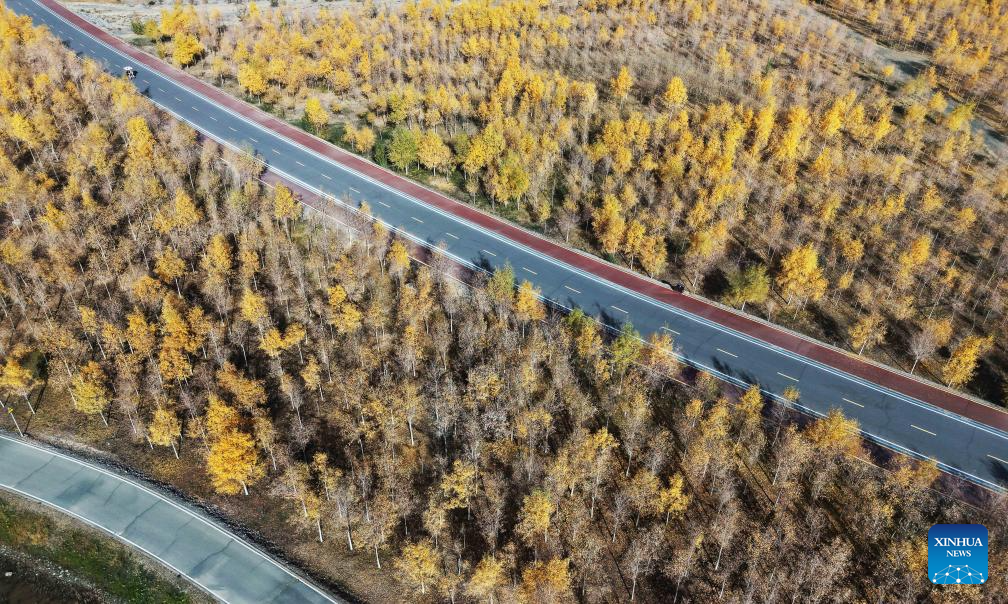 Golden autumn days draw people outdoors across China
