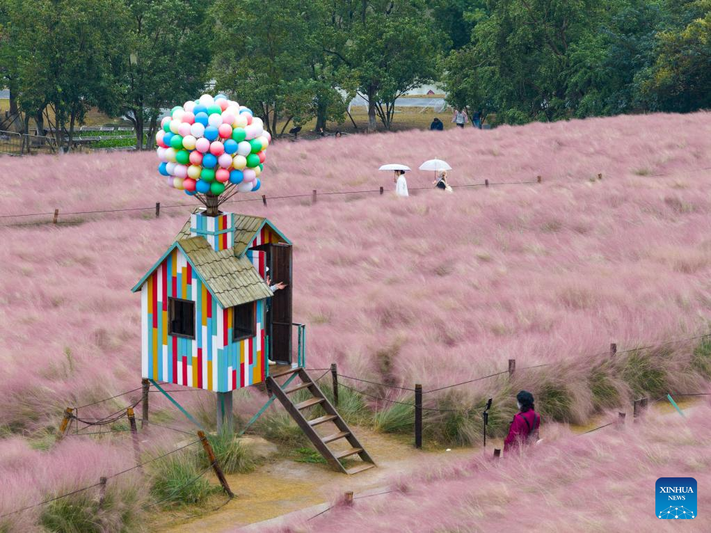 Golden autumn days draw people outdoors across China
