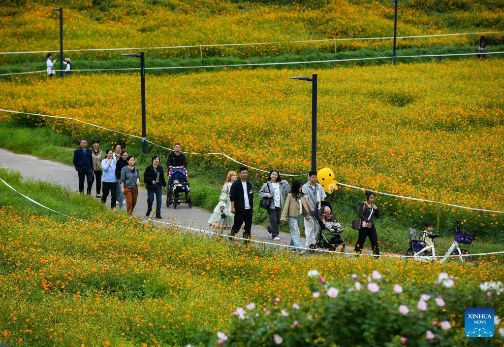 Golden autumn days draw people outdoors across China