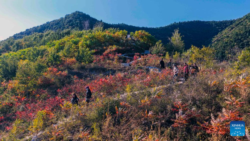 Golden autumn days draw people outdoors across China
