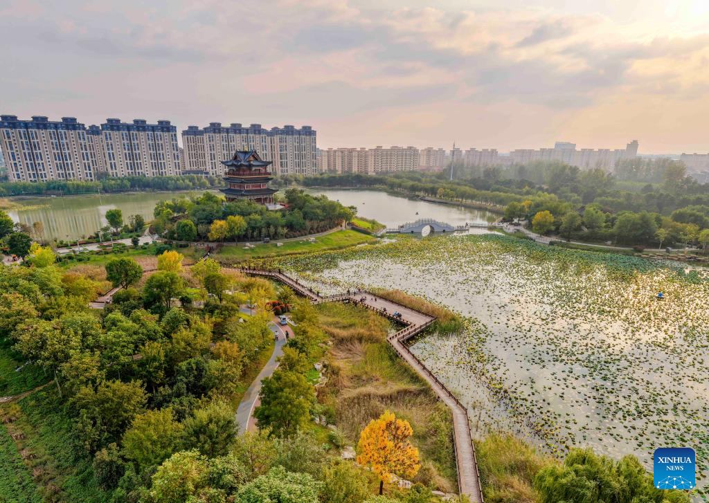 Golden autumn days draw people outdoors across China