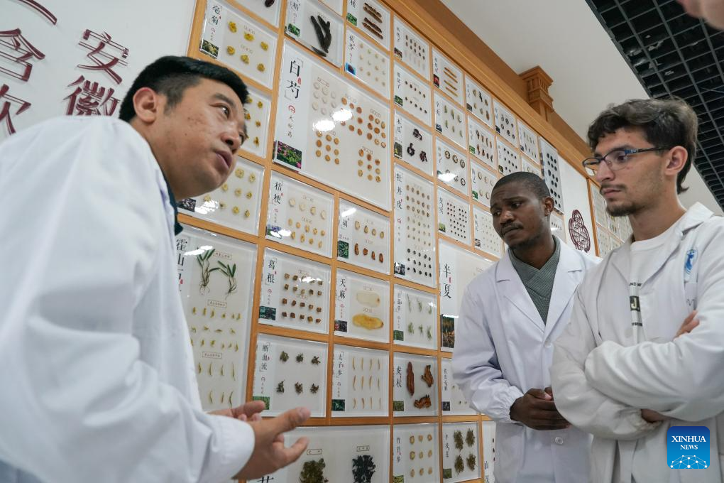 Int'l students learn traditional Chinese medicine in China's Anhui