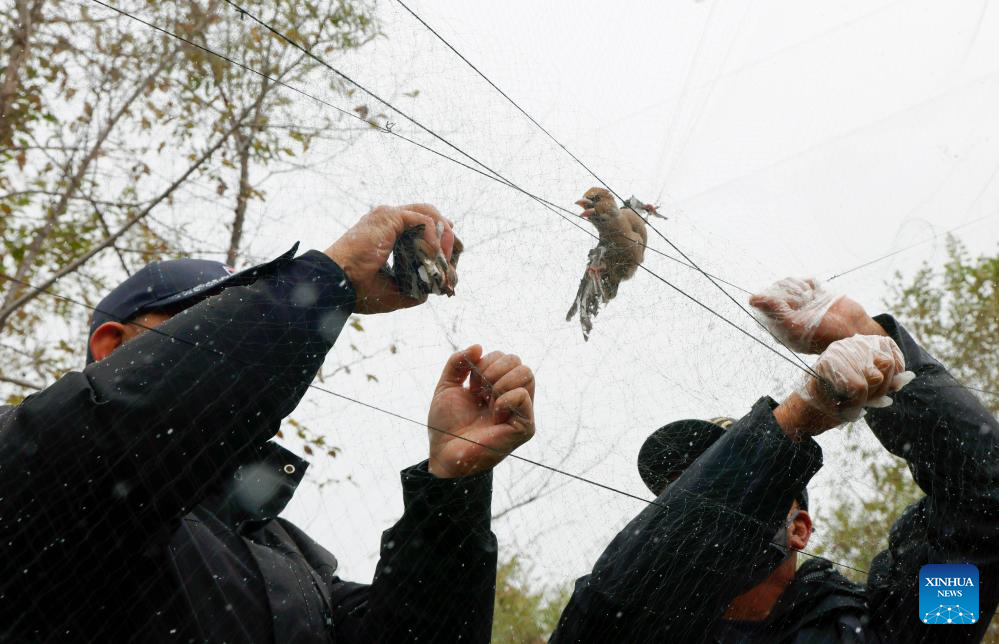 Volunteer team in NE China dedicated to protecting wildlife in Songhua River basin