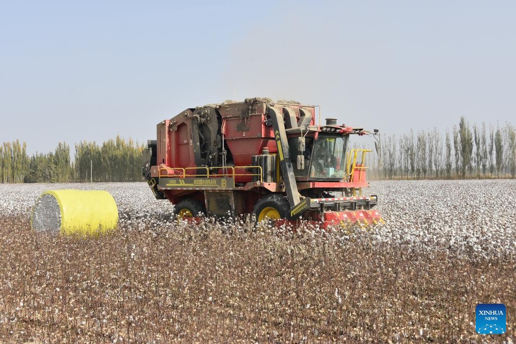 Harvest season of cotton starts in Xinjiang