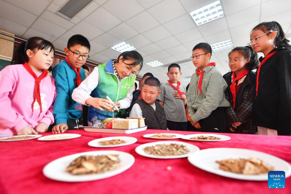 Lessons on TCM introduced across China to welcome annual World Traditional Medicine Day