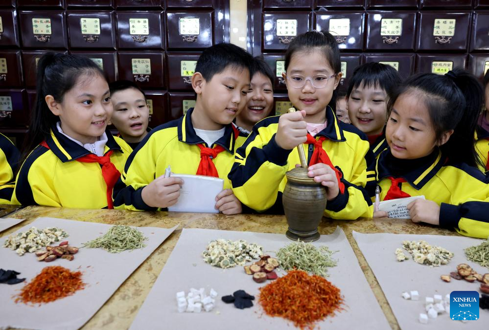 Lessons on TCM introduced across China to welcome annual World Traditional Medicine Day