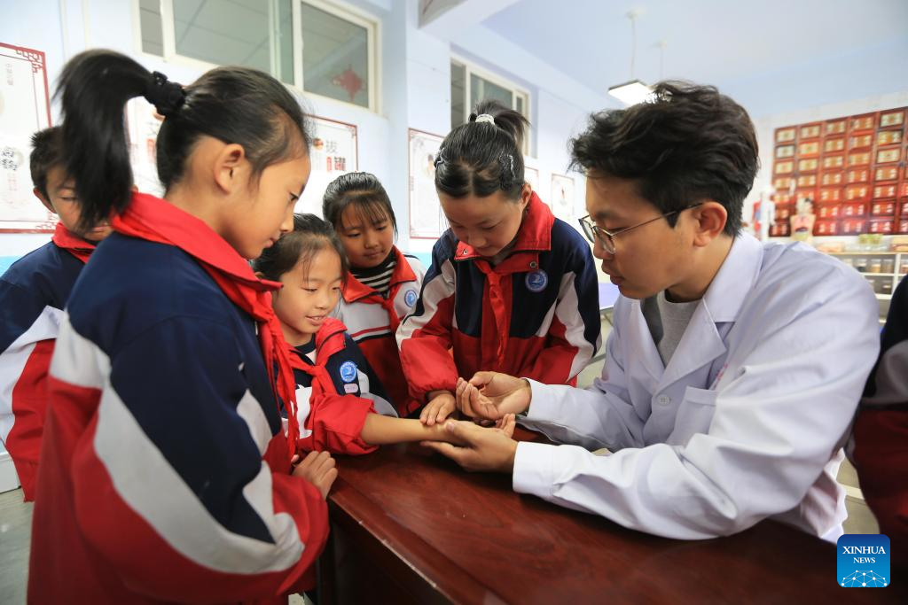 Lessons on TCM introduced across China to welcome annual World Traditional Medicine Day