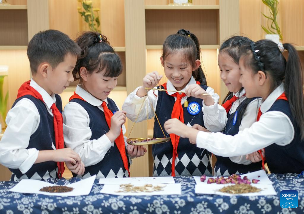 Lessons on TCM introduced across China to welcome annual World Traditional Medicine Day