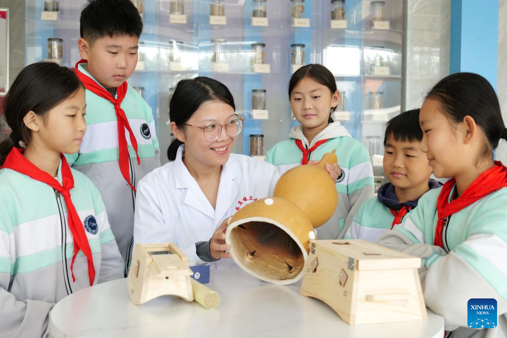Lessons on TCM introduced across China to welcome annual World Traditional Medicine Day
