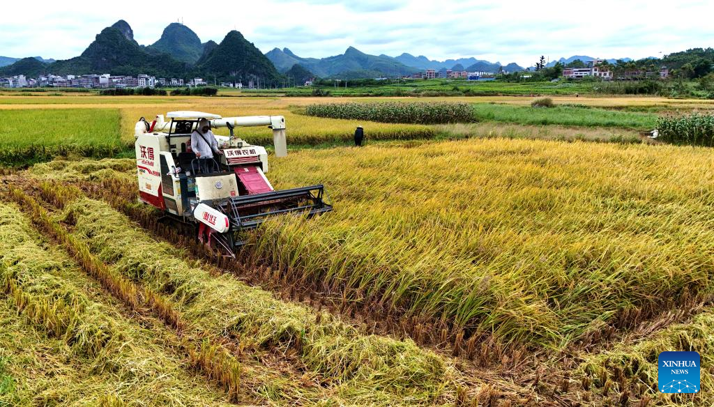 In pics: autumn harvest across China