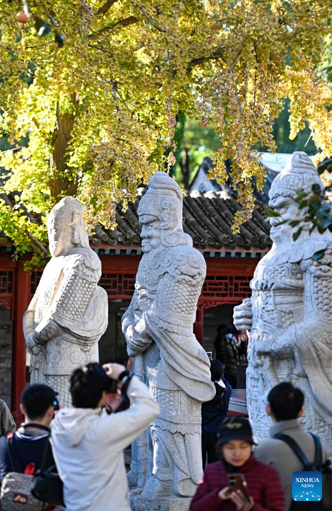 Beijing Stone Carving Art Museum, bathed in golden autumn hues, attracts tourists