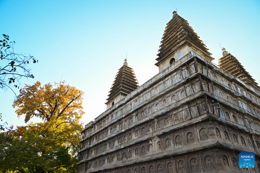 Beijing Stone Carving Art Museum, bathed in golden autumn hues, attracts tourists