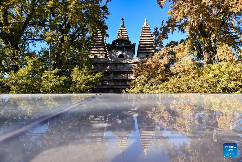 Beijing Stone Carving Art Museum, bathed in golden autumn hues, attracts tourists