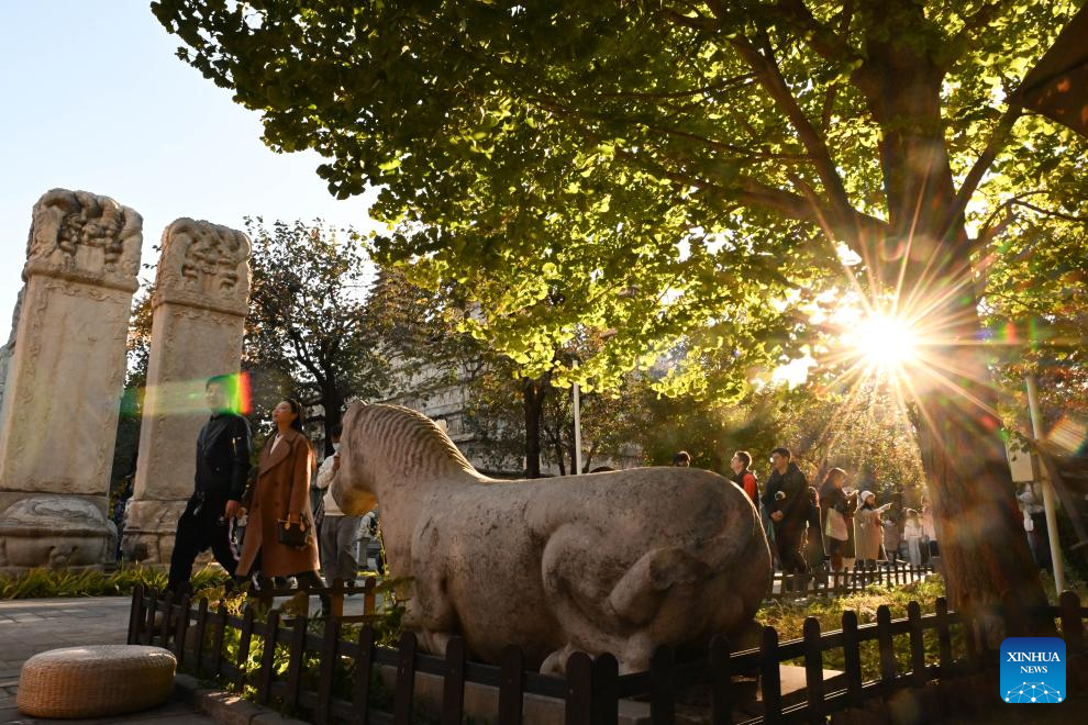 Beijing Stone Carving Art Museum, bathed in golden autumn hues, attracts tourists