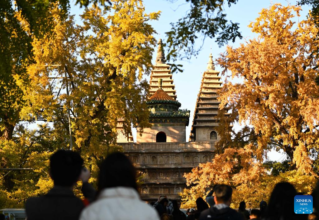 Beijing Stone Carving Art Museum, bathed in golden autumn hues, attracts tourists