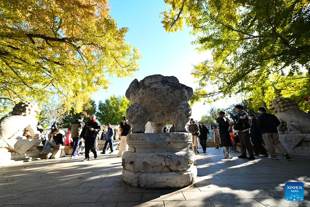 Beijing Stone Carving Art Museum, bathed in golden autumn hues, attracts tourists