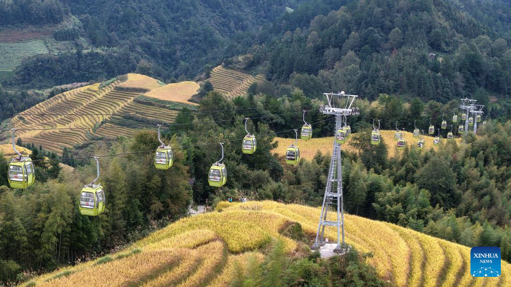 Scenery of Longji Rice Terraces in Longsheng County, China's Guangxi