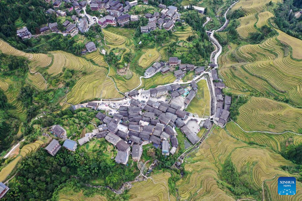 Scenery of Longji Rice Terraces in Longsheng County, China's Guangxi