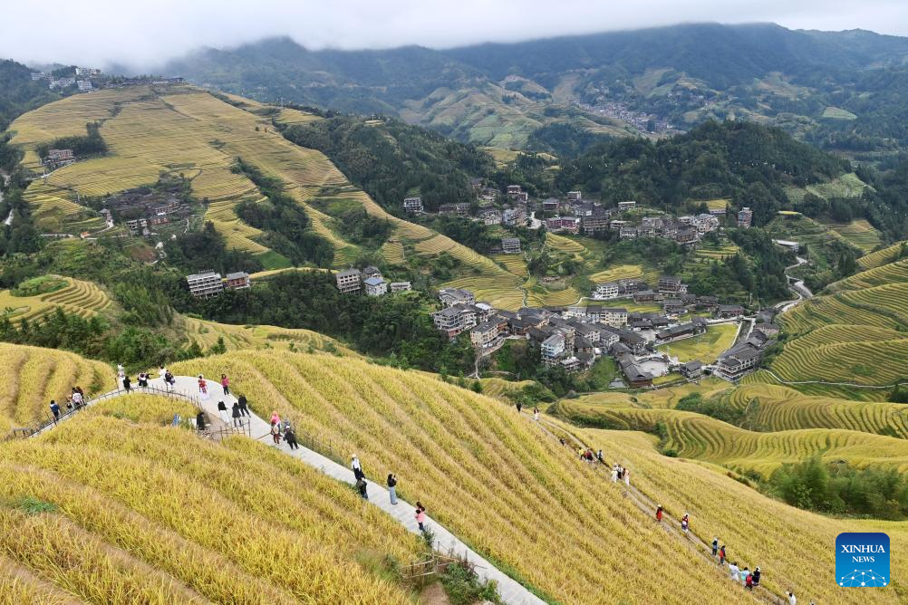 Scenery of Longji Rice Terraces in Longsheng County, China's Guangxi