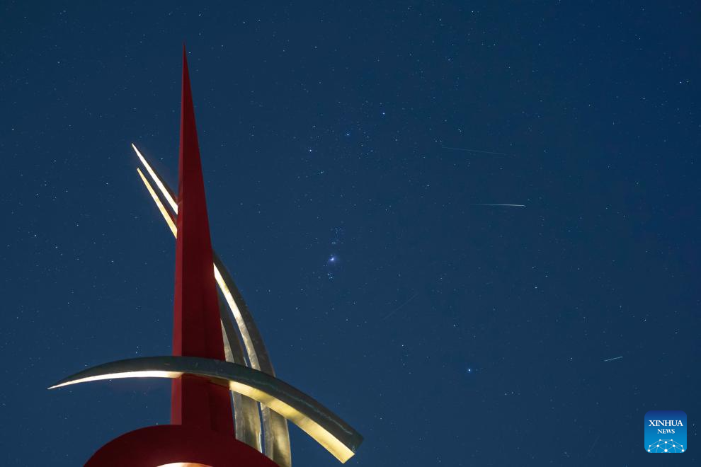 View of Orionid meteor shower over China's Heilongjiang
