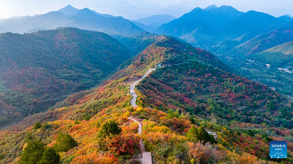Autumn scenery across China