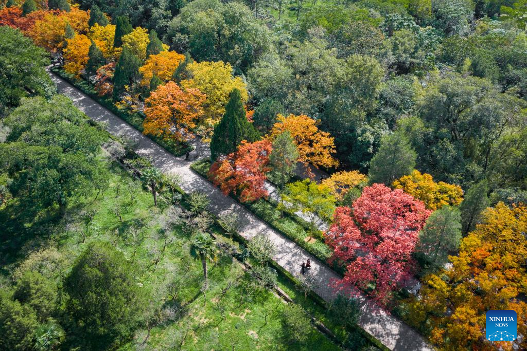 Autumn scenery across China