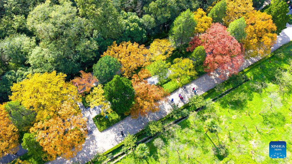 Stunning autumn scenery across China