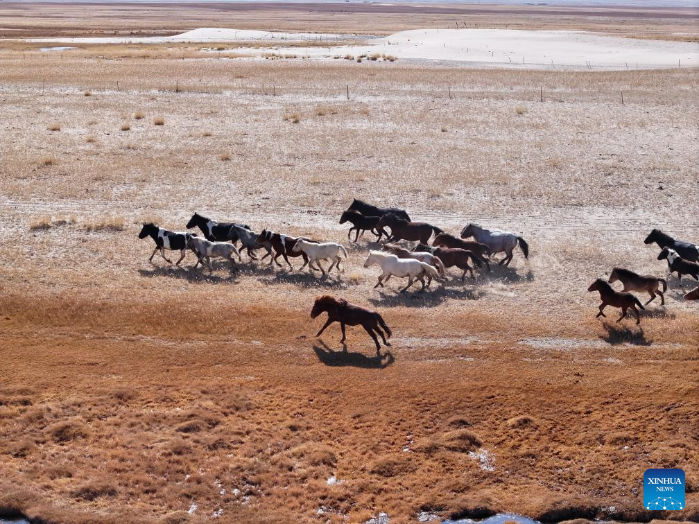 Stunning autumn scenery across China