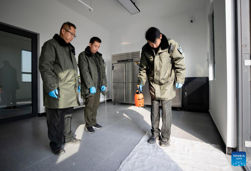 China's Ningxia establishes conservation and research center in Helan Mountain to protect snow leopards