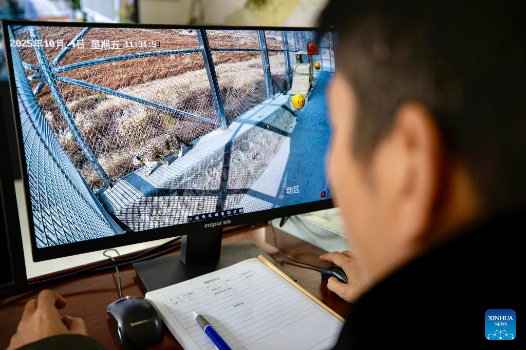 China's Ningxia establishes conservation and research center in Helan Mountain to protect snow leopards