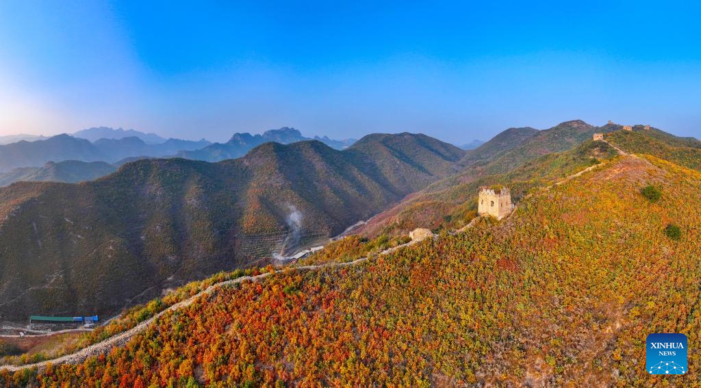 Autumn scenery of Dongjiakou section of Great Wall in Hebei, N China