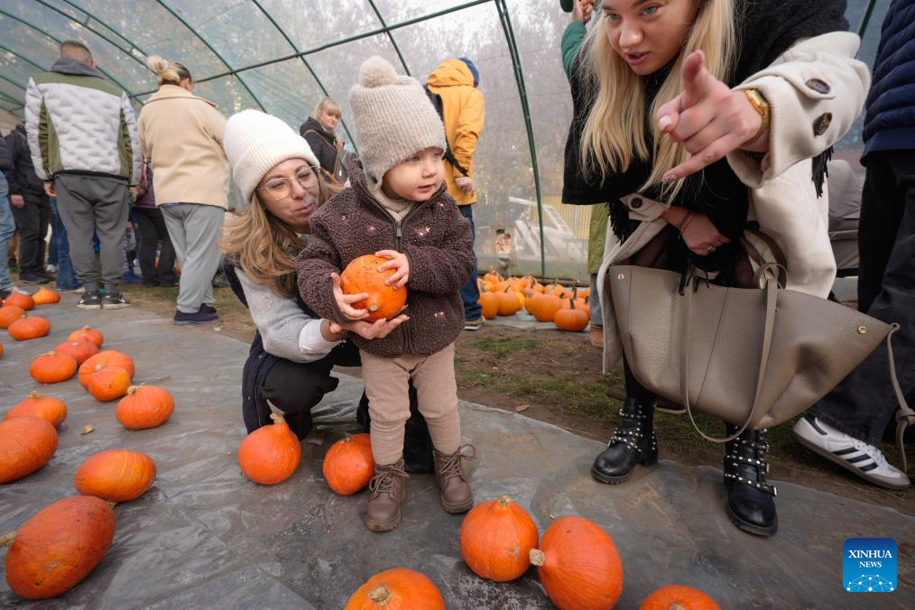 In pics: Pumpkin Festival in Warsaw, Poland