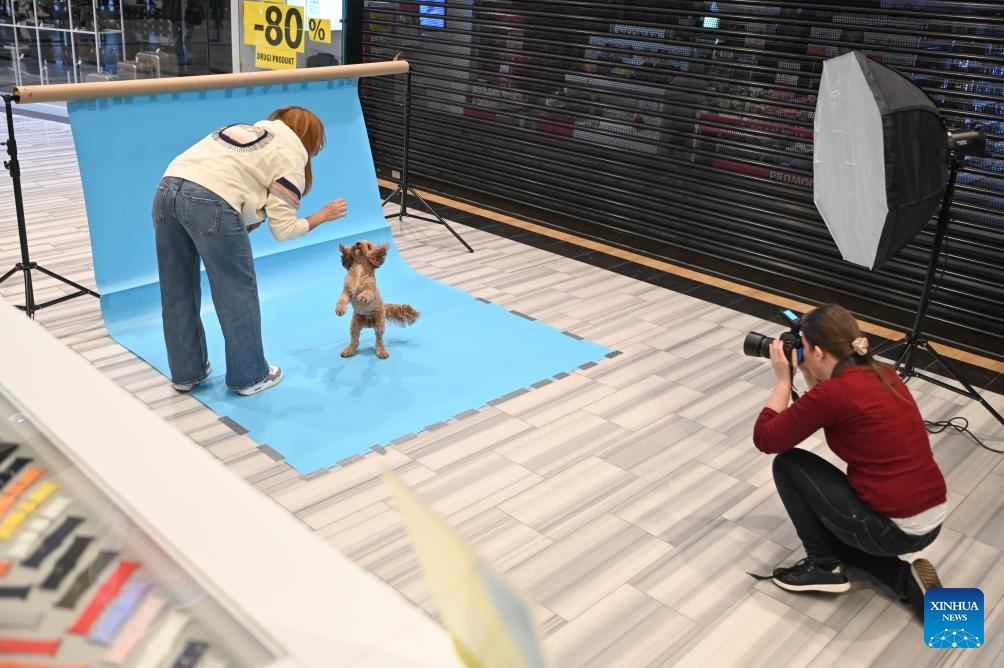 In pics: Pumpkin Festival in Warsaw, Poland