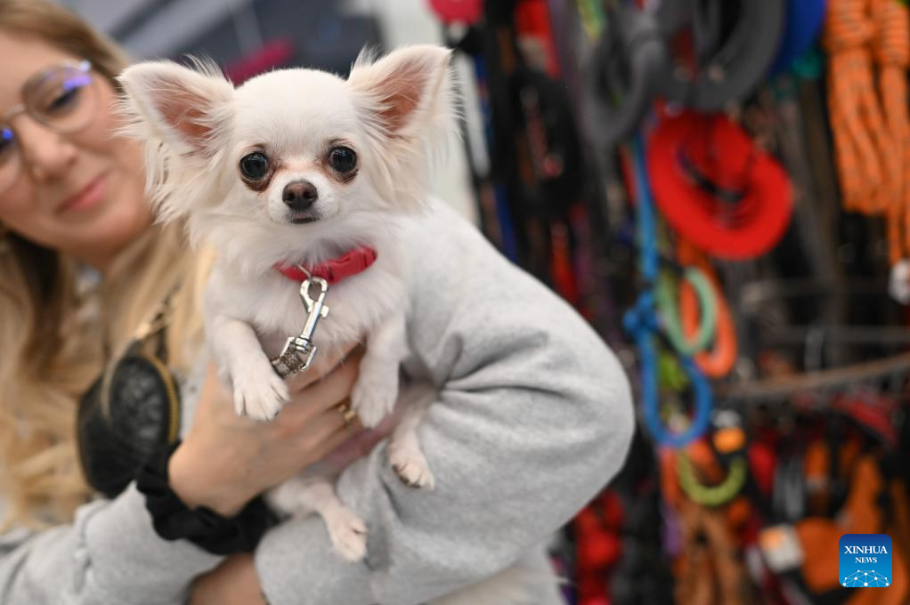 In pics: Pumpkin Festival in Warsaw, Poland