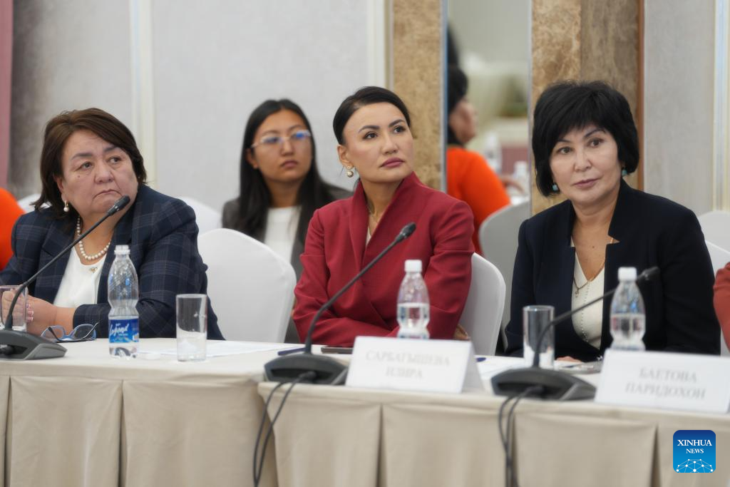 Chinese Embassy in Kyrgyzstan hosts briefing on outcomes of Global Leaders' Meeting on Women