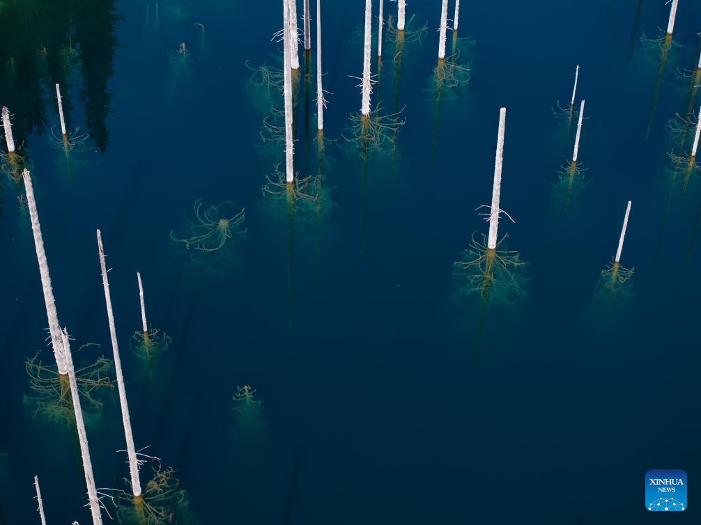View of inverted forests of Lake Kaindy in Almaty Region, Kazakhstan