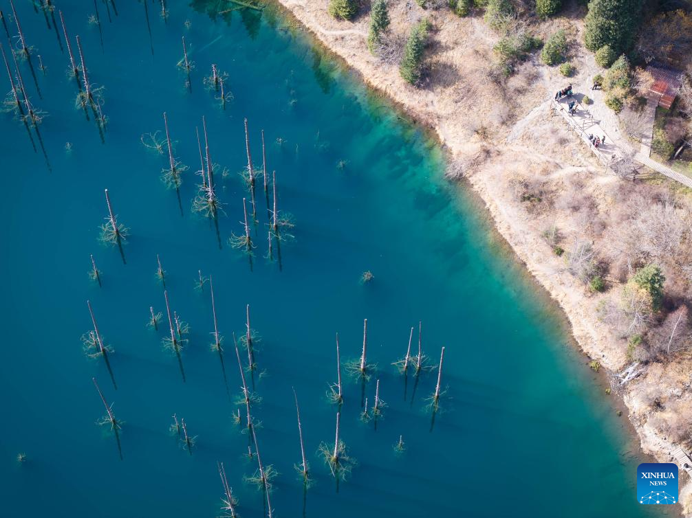 View of inverted forests of Lake Kaindy in Almaty Region, Kazakhstan